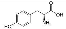 Amino acid. Donates e- to oxidized chlorophyll.