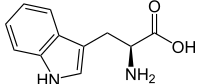 Essential Amino Acid. Codon: UGG