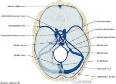 largest dural sinus; cranial falx cerebri; anterior: foramen cecum; posterior: internal occipital protuberance; drains: cerebral veins, emissary veins, diploic veins