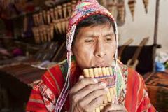 peruvian flute aerophone (pipe looking thing)