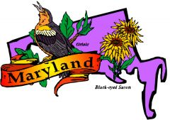 After the revolutionary war, slavery was outlawed north of Maryland.