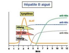 Hépatite B aigue