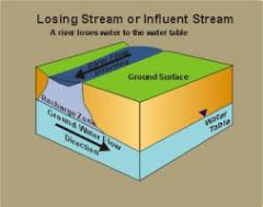 stream supplies a lower water table (mainly drier regions)