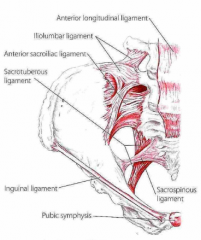 Trigonum femorale (femorale trekant) udgøres af 1) lig. inguinale og 2) hvor m. sartorius og m. adductor longus mødes.
I denne trekant løber vigtige femorale nerver, arterier og vener. 