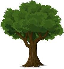 ağaç