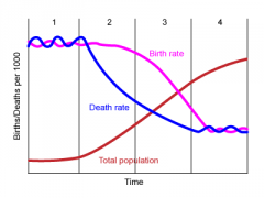 The transition from high birth and death rates to low birth and death rates as a country develops.