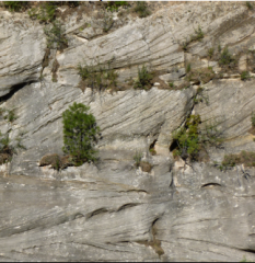 Which sedimentary feature is shown in this picture?