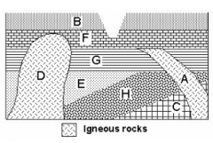 If units A and D are igneous rocks, and the others originally sedimentary, which of the other units did not experience contact metamorphism?