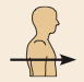 Toward or at the front of the body; in front of