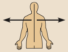 Away from the midline of the body; on the outer side of