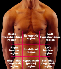 Right hypochondriac region
Right lumbar region
Right iliac (inguinal) region