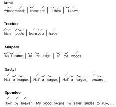 basic rhythmic structure of a verse or lines in verse.