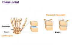 Gliding non axial movement
Example: intercarpal movement