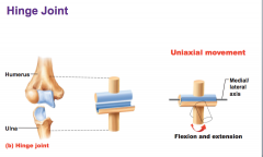 Uniaxial movement. Flexion and extension
Example: elbow (ulna & humerus)