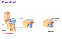 Uniaxial movement. Rotation
Example: Proximal & distal radioulnar joints, atlantoaxial (atlas & axial vertebrae)