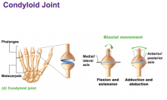 Biaxial movement. Flexion & extension; abduction & adduction
Example: atlanto-occipital. (atlas & occipital bone),  radius & carpals, metacarpals & phalanges, metatarsals & phalanges