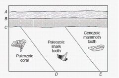 On the diagram shown, several surfaces between rock layers are identified by letters. Choose the answer below that correctly identifies the unconformities.

A.C and E
B.B and E
C.A and E
D.C and D
