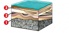 For the block diagram below, what type of unconformity is labeled as 2?