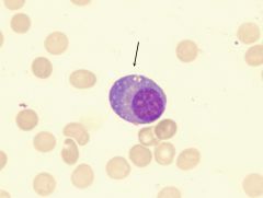 what is this cell?