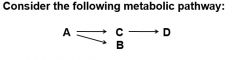 








If the enzyme responsible for
converting A to C was mutated and nonfunctional, what would happen?





A:  A levels would increase; B, C, and D
levels would decrease. 
B:  A and B levels would increase; C
and D levels ...