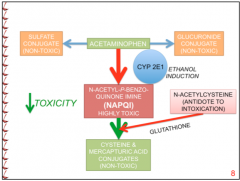 NAPQI (highly toxic) which is then converted to cysteine and mercapturic acid conjugated (non-toxic) after administration of glutathionine (N-acetylcysteine)