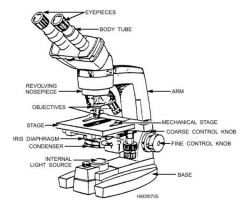 Compound Microscope- parts and functions
