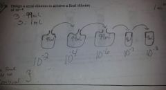 Dilution Notes
