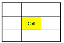 Cells: the individual squares within rows and 
columns