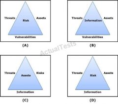 Based on the exhibit, which
example represents the risk triad?

 

  

A.  A 
B.  B 
C.  C 
D.  D
