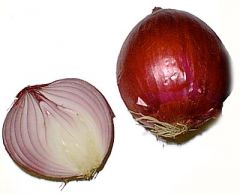 Shortened stem surrounded by scales (Onions)