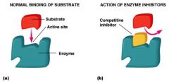 directly competes with binding of substrate to active site