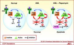 1 dz neural crest org aff extrm & spine: 2 AD-->mut NF1 gene chrom 17q21-> neurofibromin protein-> neurofibromin deficicy incr-> Ras activity-> MAPK-> osteoclast function & survl; 3 MC gen dz caused->new mutat single gene