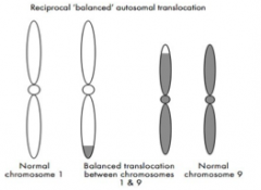 Can occur between any of the chromosomes and involve pieces of any size.
Arises when an exchange of chromosome material takes place between two different chromosomes. 
Since in these translocations there does not appear to have been any loss or gain of 