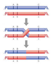 The phenomenon whereby alleles at loci close together on the same chromosome will tend to be inherited together, because it will be rare for a crossover to occur between the loci at meiosis.