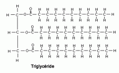 Les triglycérides sont des glycérides dans lesquels les trois groupements hydroxyle du glycérol sont estérifiés par des acides gras. Ils sont le constituant principal de l'huile végétale et des graisses animales.