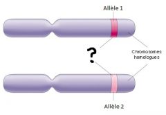 Emplacement physique précis et invariable sur un chromosome.
