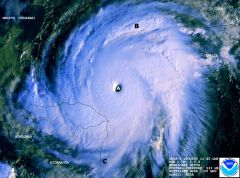 This satellite image shows Hurricane Mitch, a tropical cyclone that formed in the southern Caribbean Sea in October of 1998, ultimately strengthening into a Category 5 hurricane. For more information on Mitch, visit the image source.