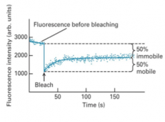 By fluorescently labeling proteins and observing how they move.  Fluorescence Recovery After Photobleaching (FRAP.) The percentage recovery seen is the % mobile.  
Membrane bound proteins are fluorescently labeled and photobleached...
