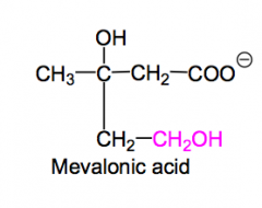 The intermediate relating the aldol condensation product and IPP-OPP.