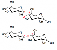 Disaccharides of glucose: alpha(1,4) and beta(1,4) respectively.  They are both reducing (hemiacetals).