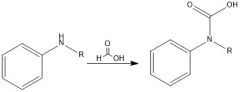Directly try to put amine and CA together... it will only yield an ammonium salt and a carboxylate
with the exception being formyl derivatives