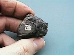 Pyroxene

Mineral