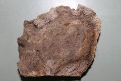 Rhyolite

(Extrusive)
Igneous Rock