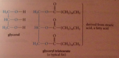 ester derived from mlc of glycerol & 3 mlcs fatty acid