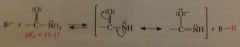 Yes, they are attached to an atom that is adjacent to a carbonyl group