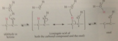 conj A of carbonyl cmpd (carbocation) - loss of proton from O gives back starting carbonyl cmpd, loss from a-C gives enol