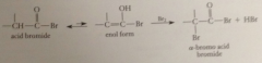enol is species that actually brominates