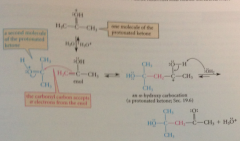 source of enol & protonated ketone is electrophilic species in the rxn - reacts as electrophile w pi e of enol to give a-hydroxy carbocation, which is also conj A of addition prod