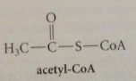sm for biosynth of fatty acids