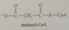 malonyl Co-A by carboxylation of a-C